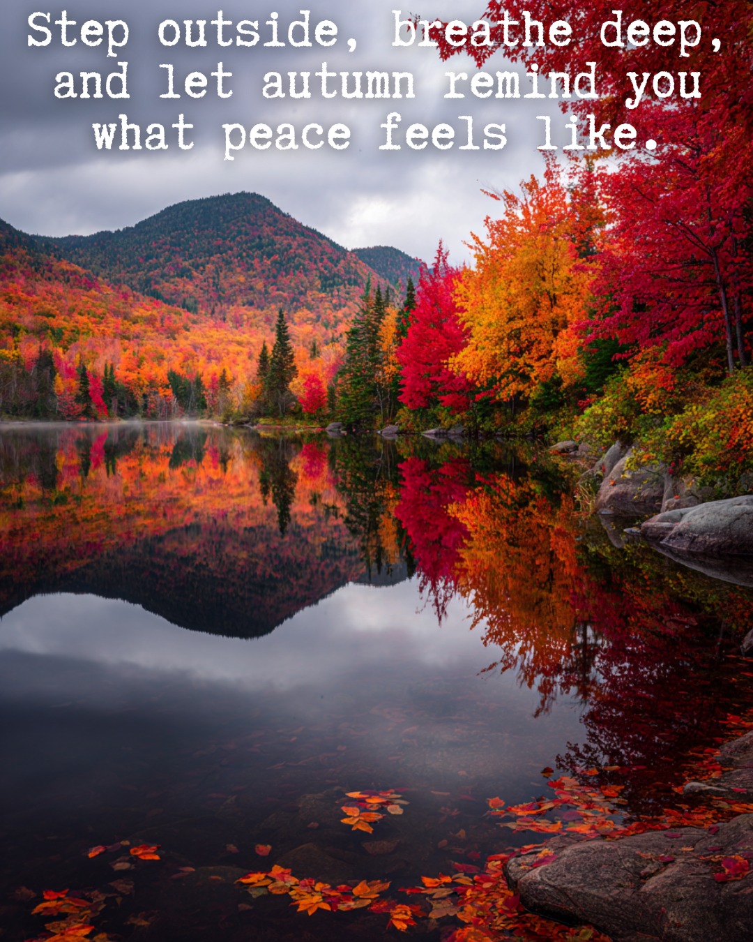 Lures & Laughs - 🍁 Autumn: nature’s way of slowing time. | Facebook