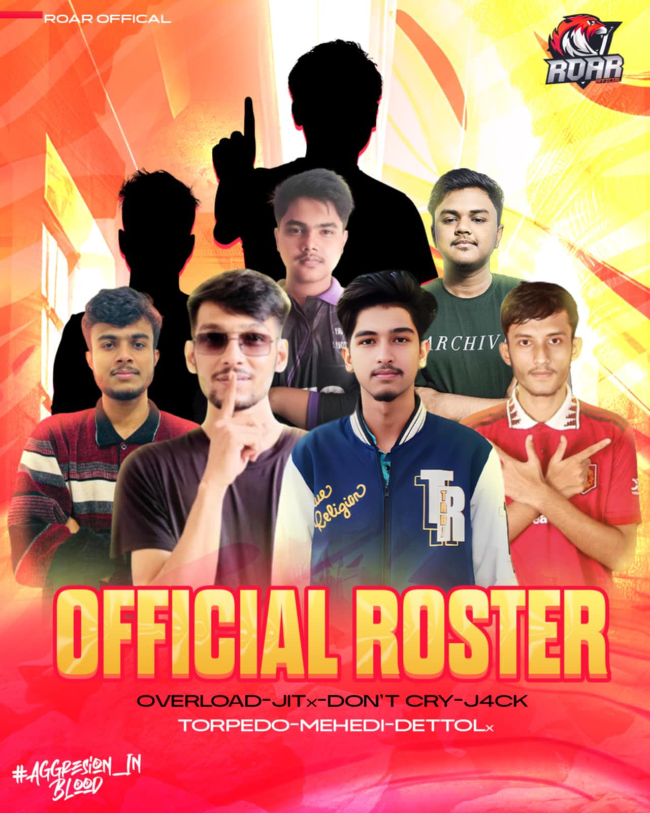 Team ROAR official