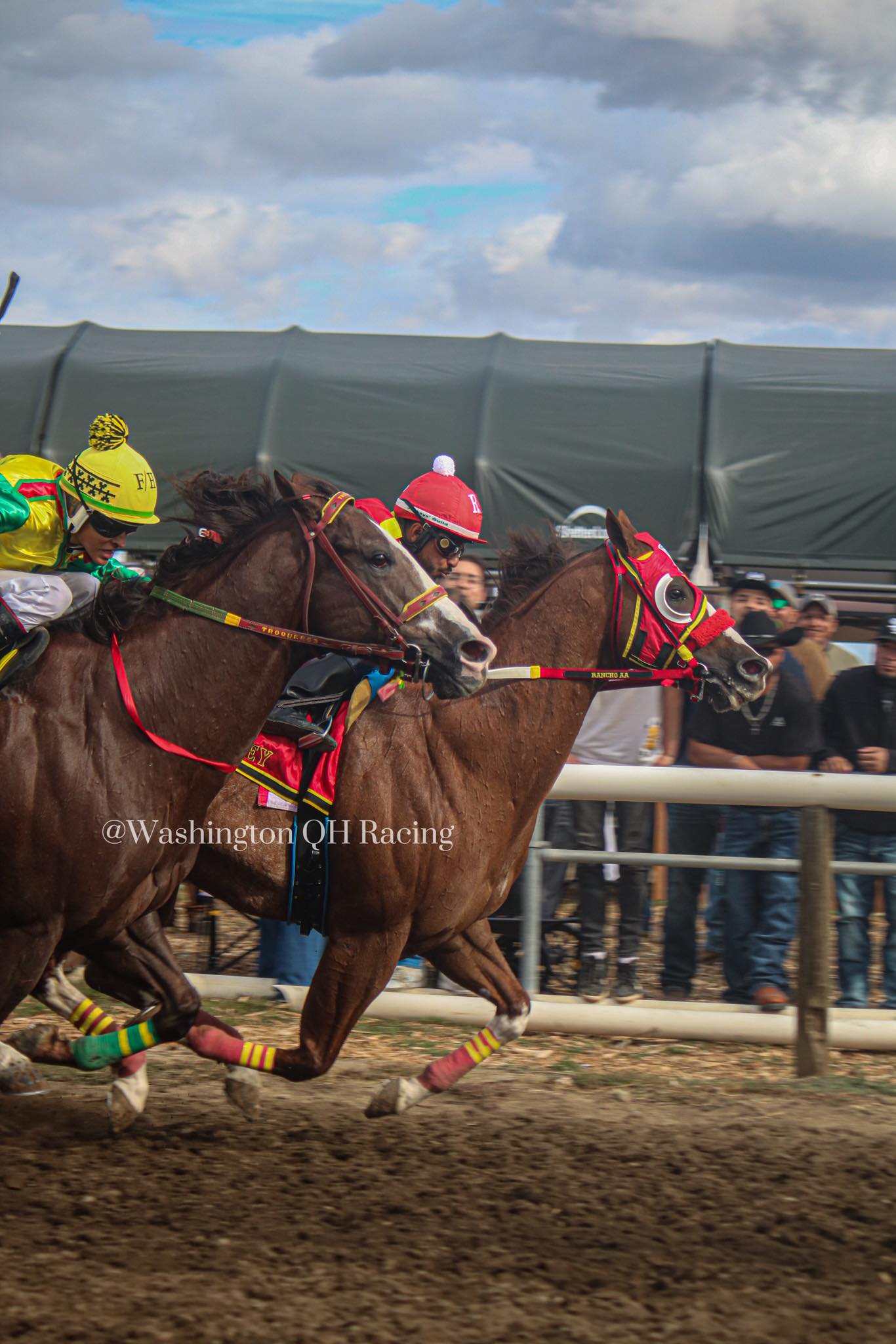 Washington QH Racing
