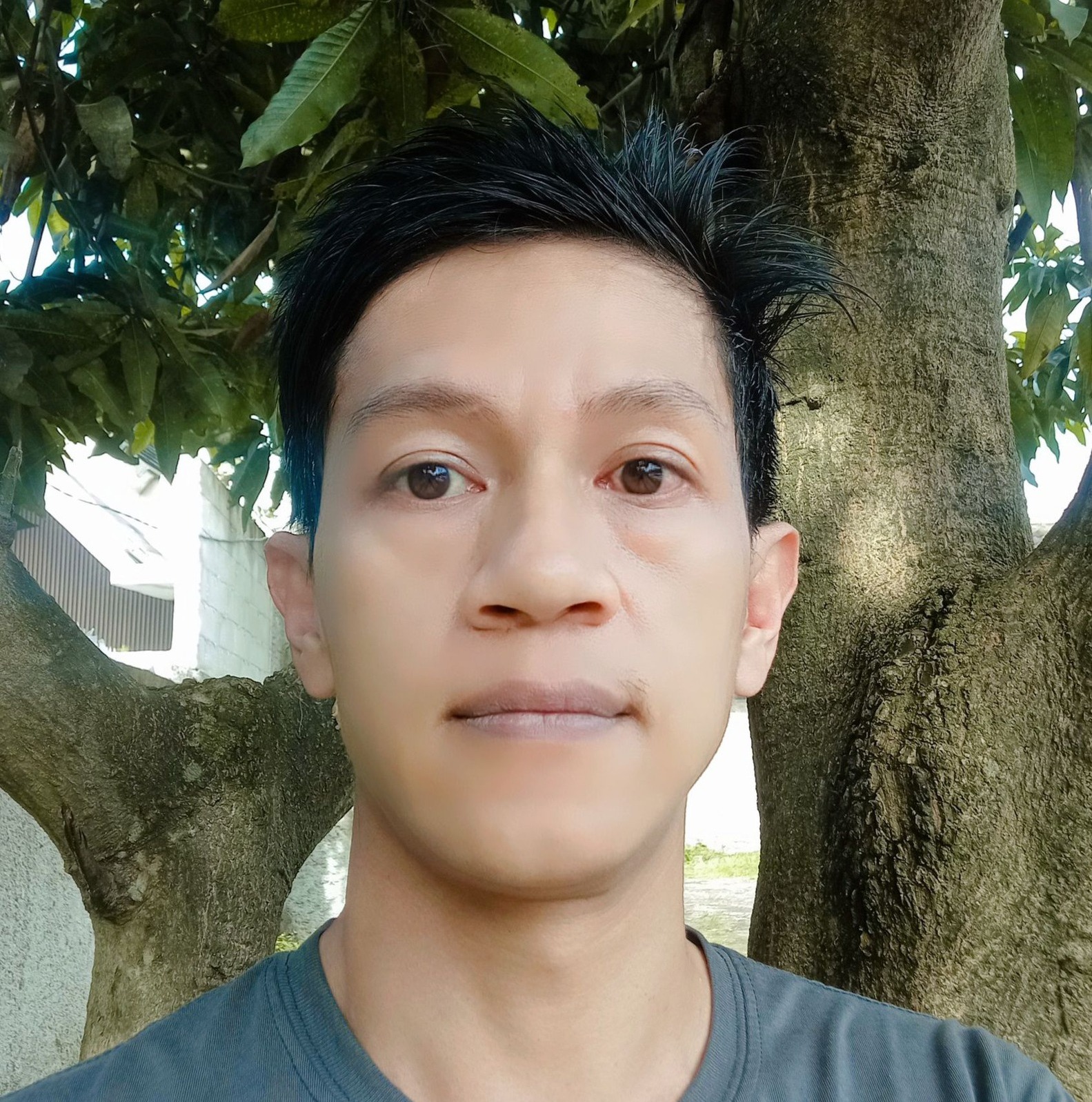 Dawijaya Arma