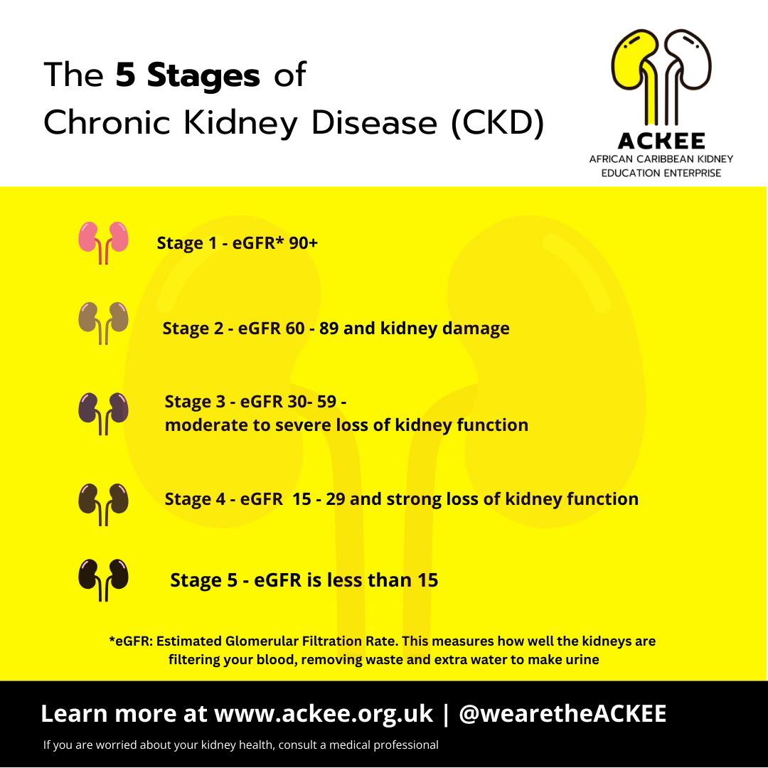 African - Understanding the progression of Chronic Kidney Disease (CKD ...