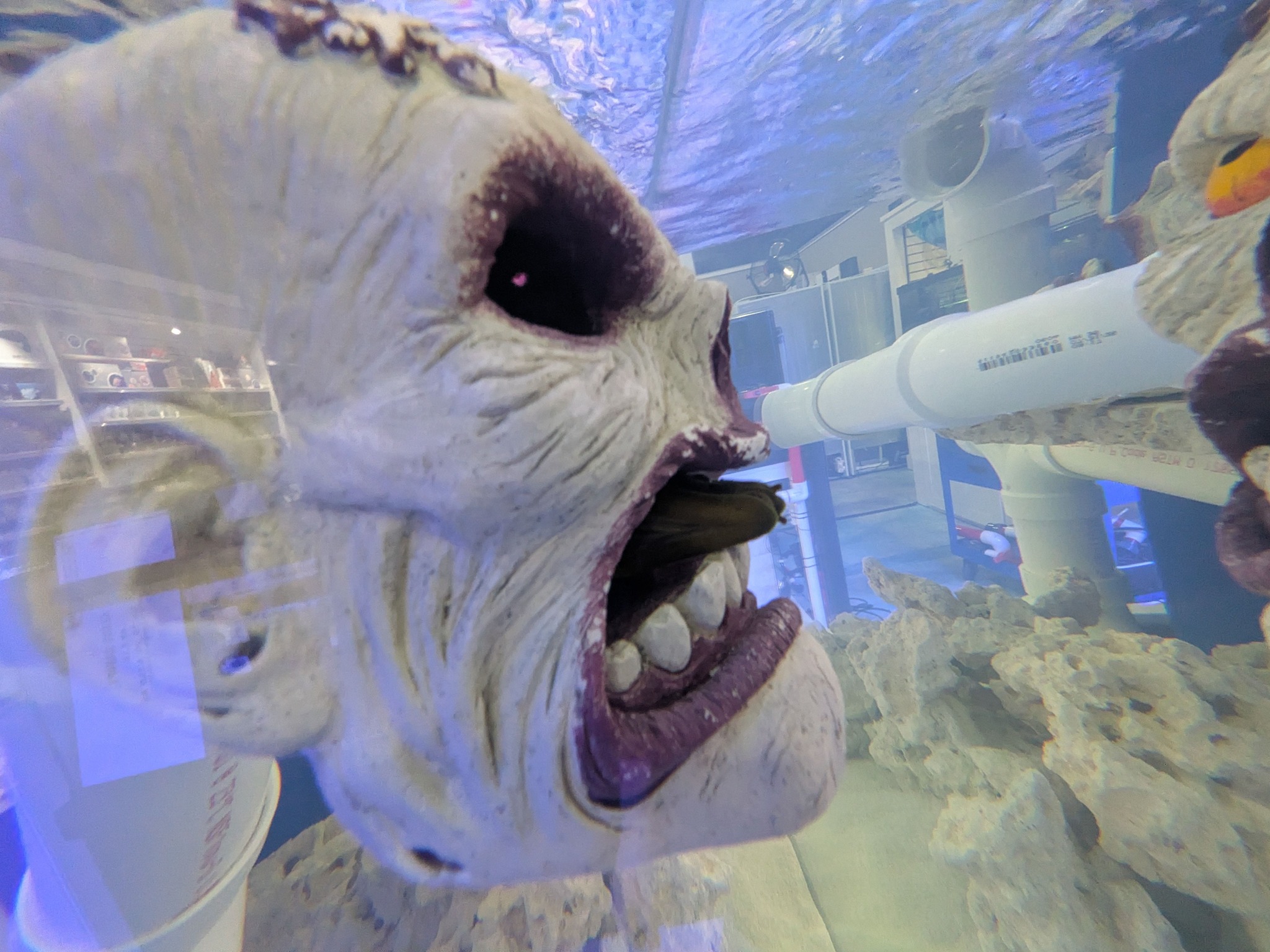 C-Macs Aquarium Gastonia | Gastonia NC