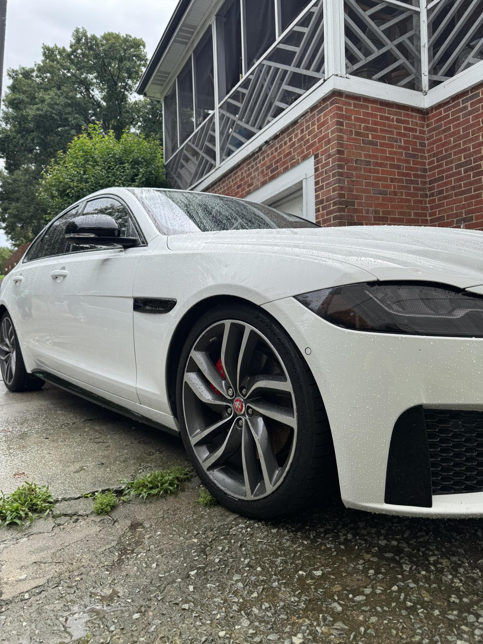 What 19-inch aftermarket wheels fit Jaguar XF X260?