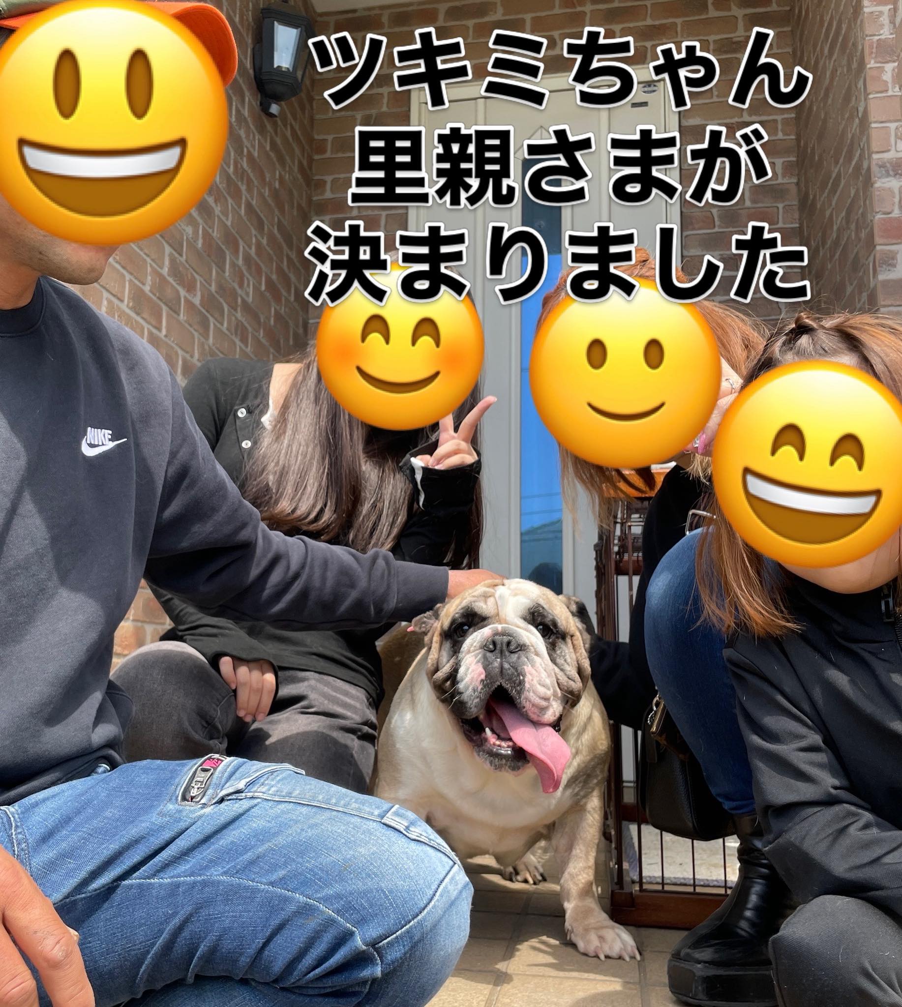 ツキミちゃん‼️ 里親さまが 決まりました＼(^^)／