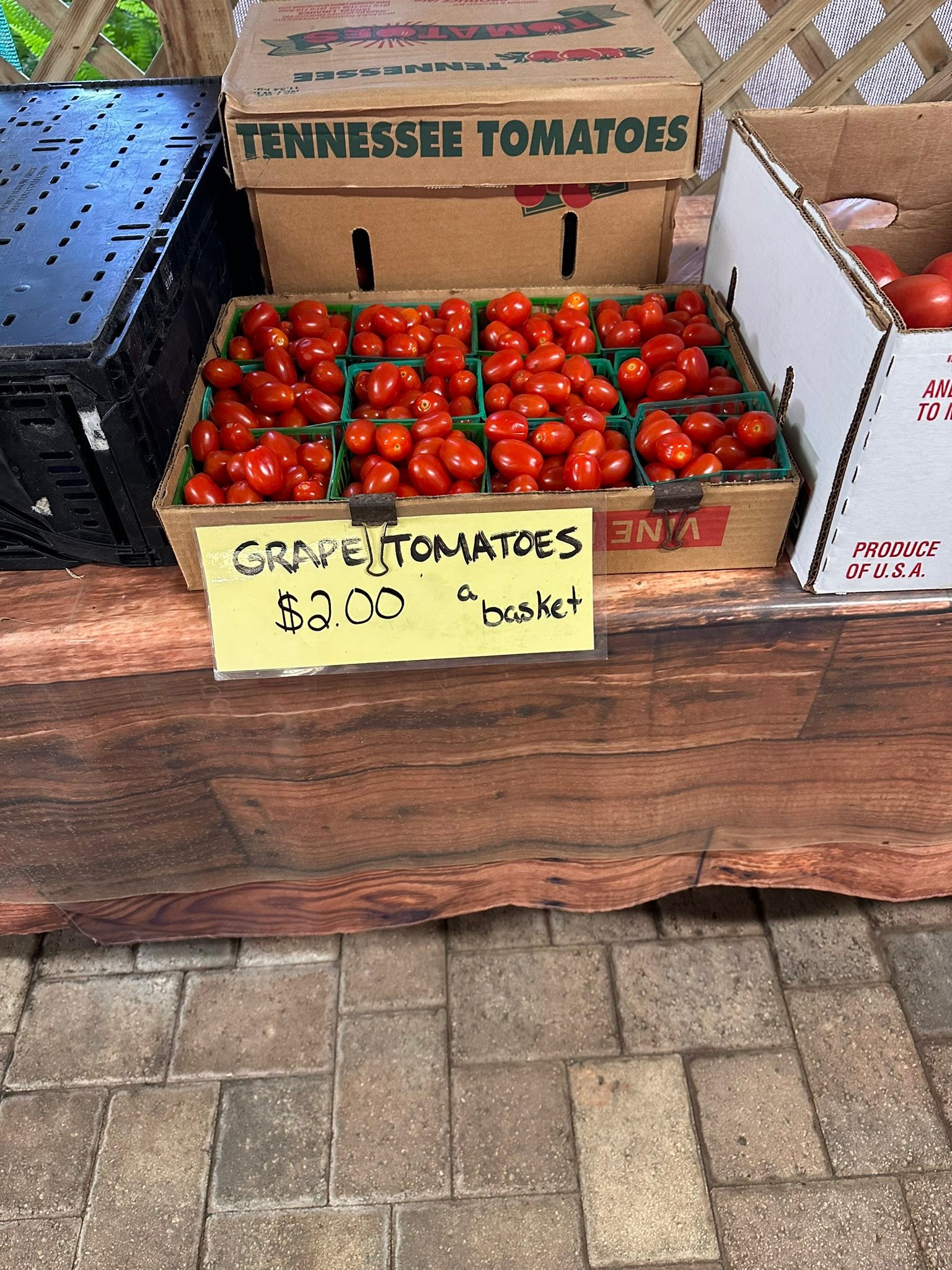 Frazier Farms | Brooksville FL
