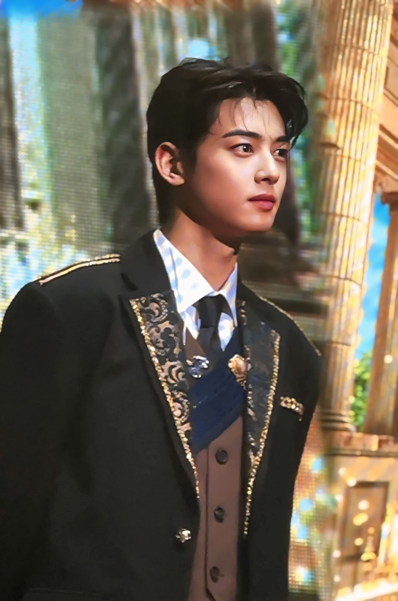CHA EUN-WOO 1st JAPAN FANMEETING フーディー Cha Eun Woo Fanmeeting [ #theroyal ] in Japan 15072025 #theroyal
