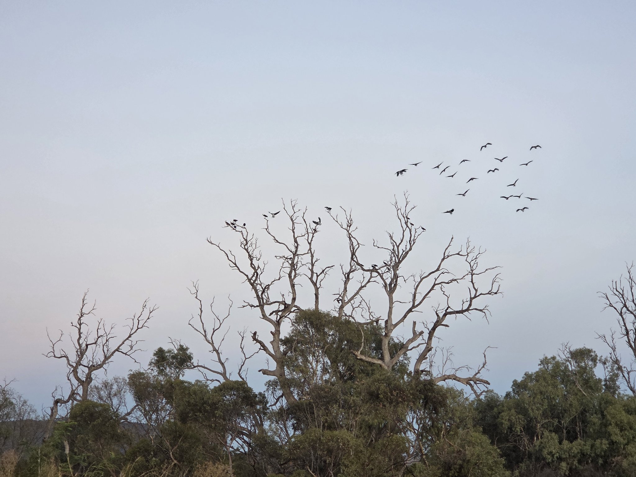 The Flinders Ranges Council | Quorn SA