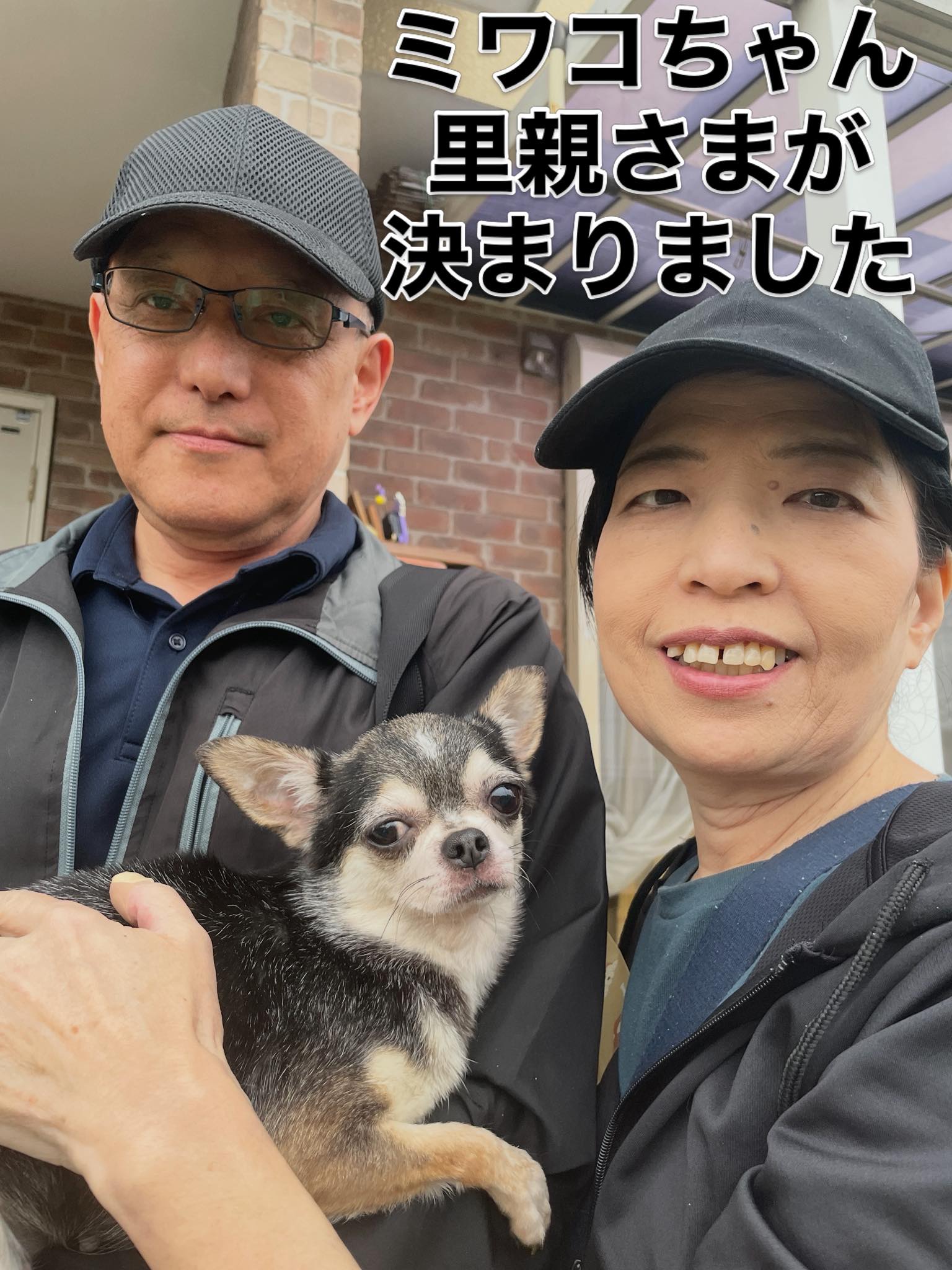 ミワコちゃん‼️ 里親さまが 決まりました＼(^^)／