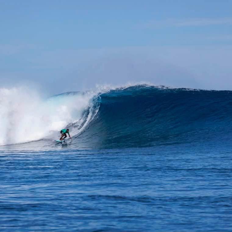 Happy Fiji 🇫🇯 day🤙 Thank you so much guys for always choosing Sujee's ...