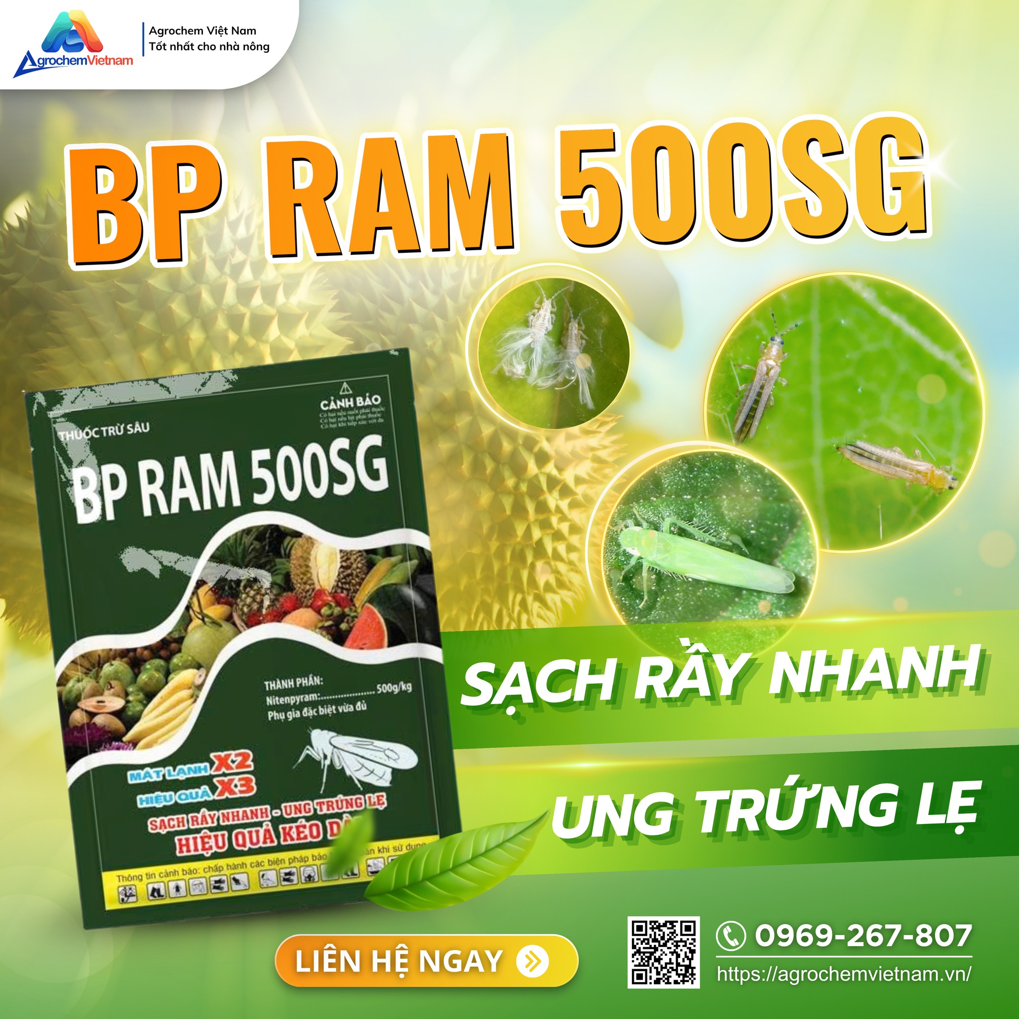 BP Ram 500SG