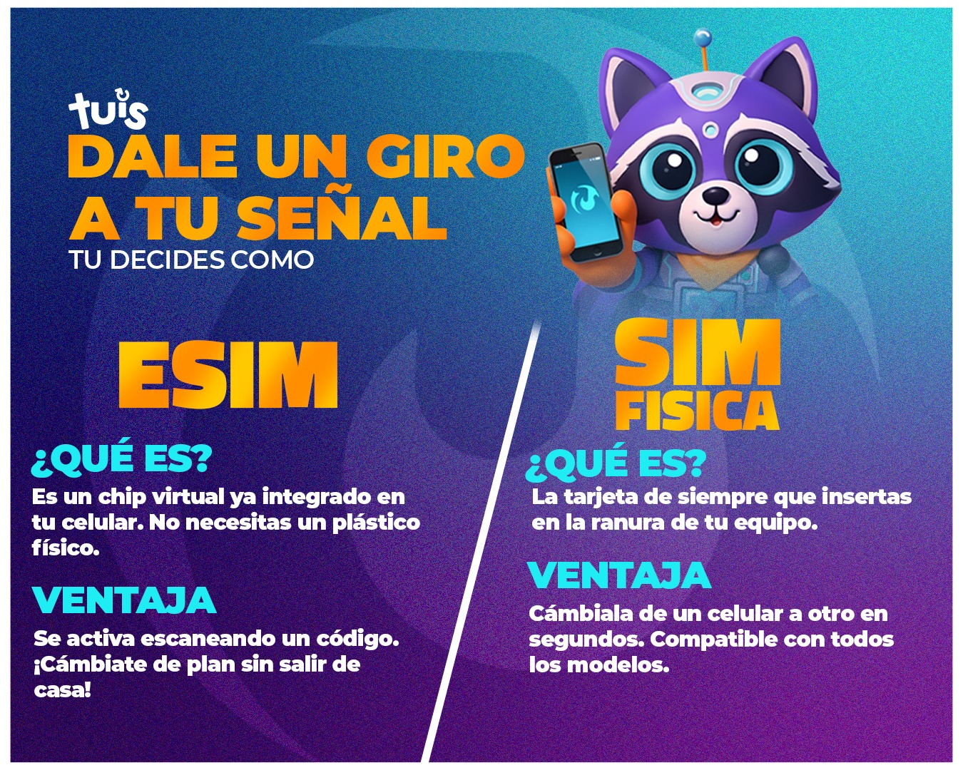 Tuis