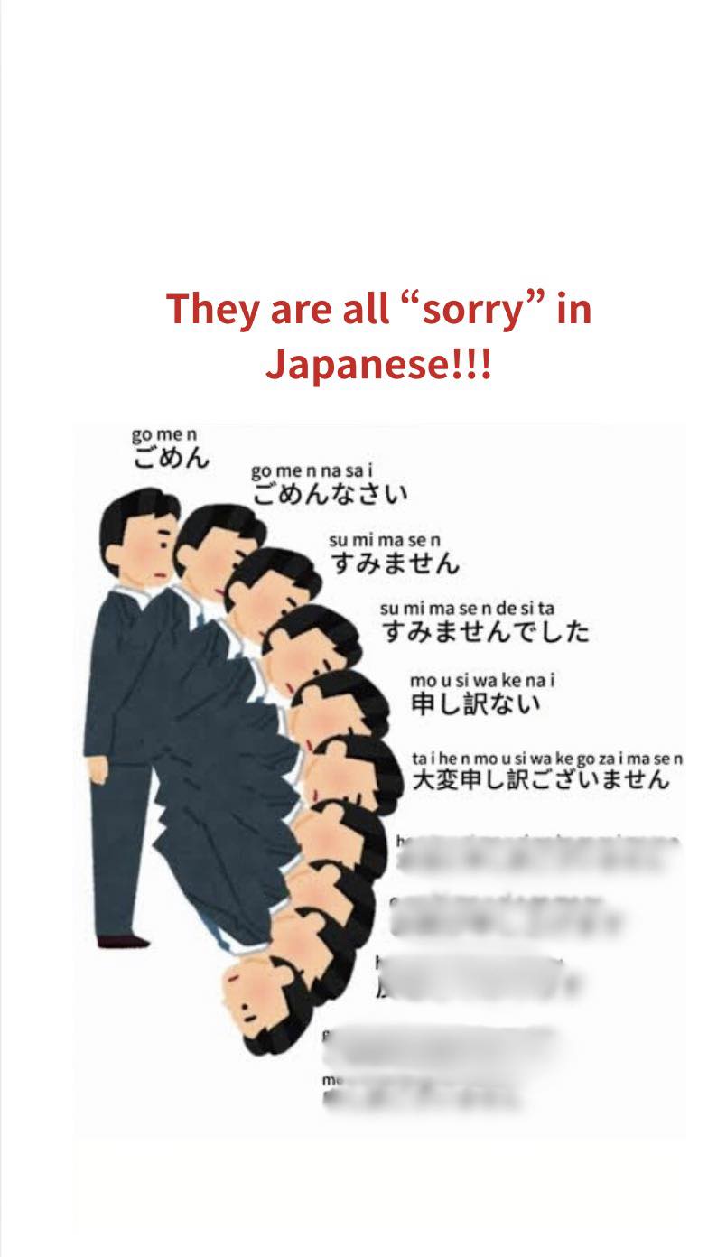 大変 申し訳 ご ざいません