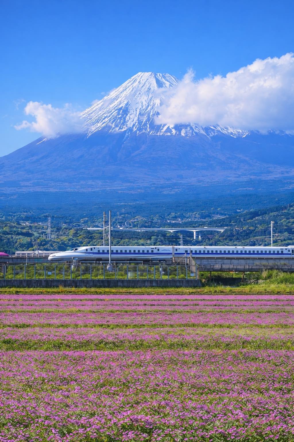 Fujisan 🌸🌸 #fuji #fujisan #mountfuji #japan