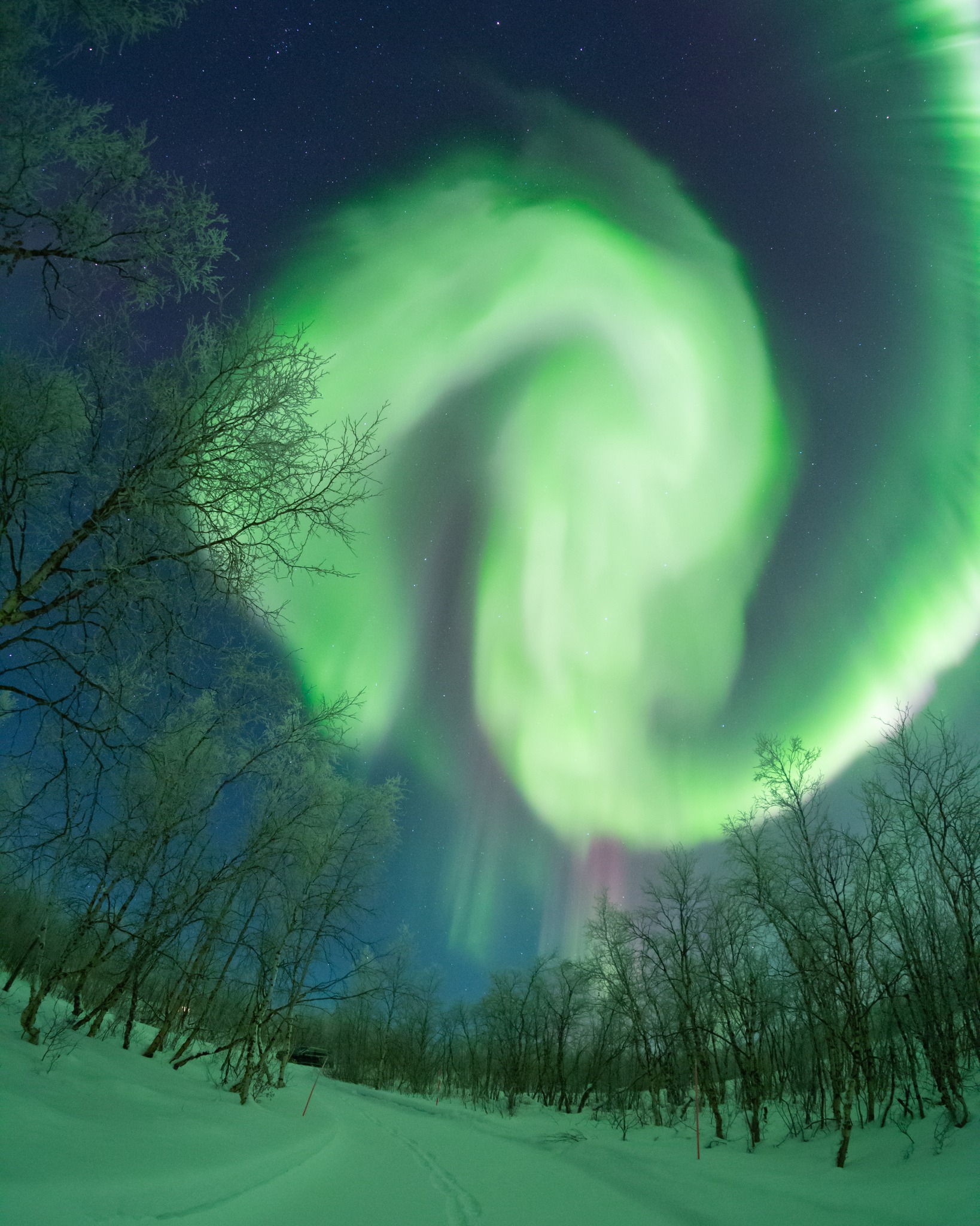 What do you see? I see a dragon in the aurora 🐉