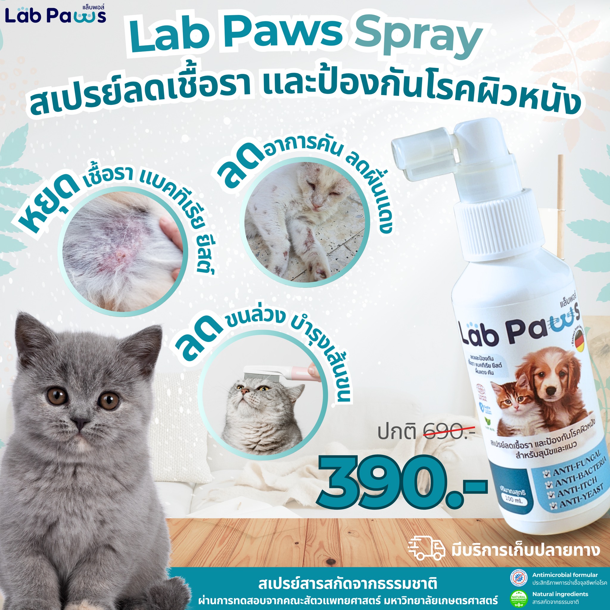 Lab Paws แล็บพอส์ | Bangkok