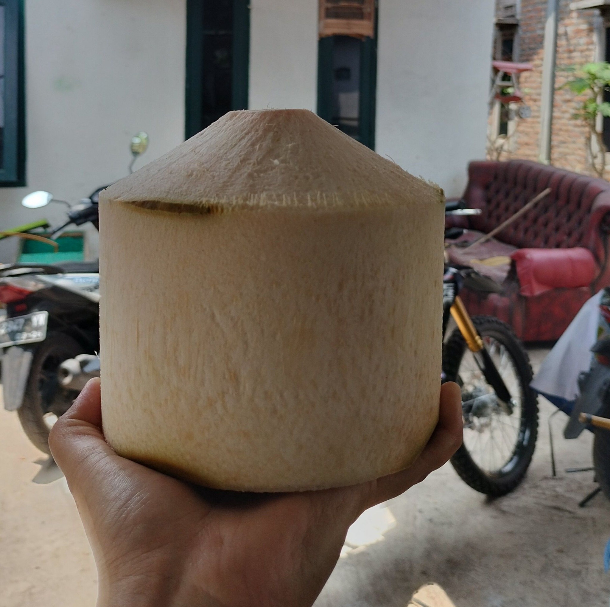 Watch the machine help peel this Coconut as the rough outer layer is ...