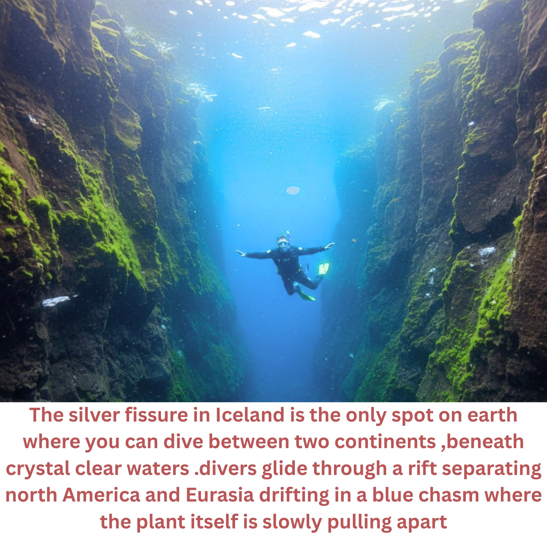 Weird, Strange and Interesting Things | First time diving — and it just ...