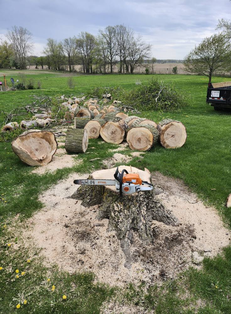 Hess Tree Service & More | Hudson MI