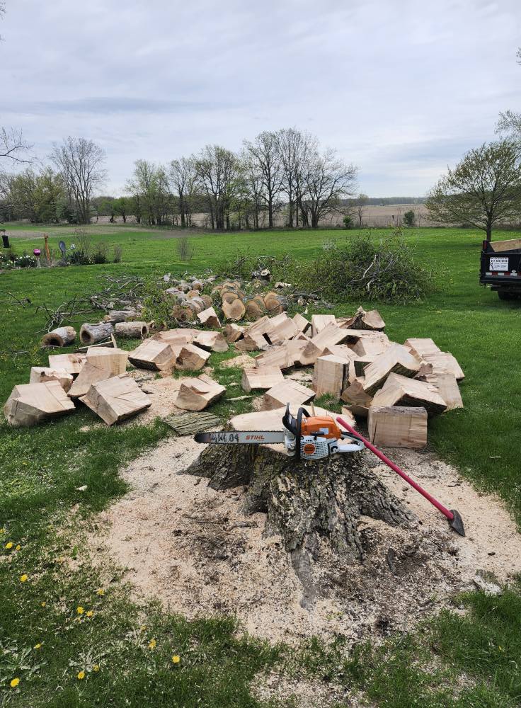 Hess Tree Service & More | Hudson MI