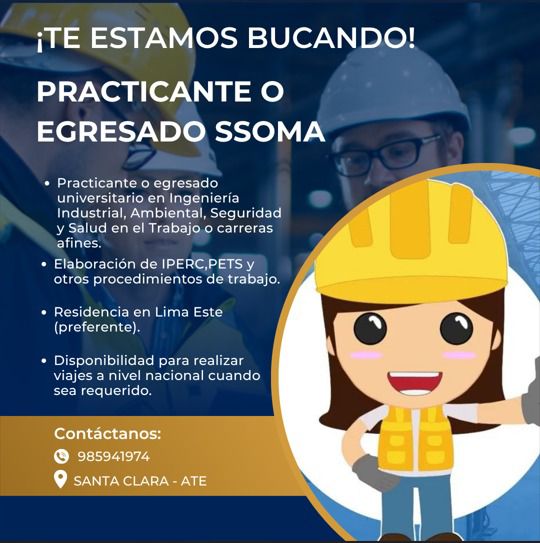 INGENIEROS DE SEGURIDAD Y SALUD EN EL TRABAJO - PERU | Facebook