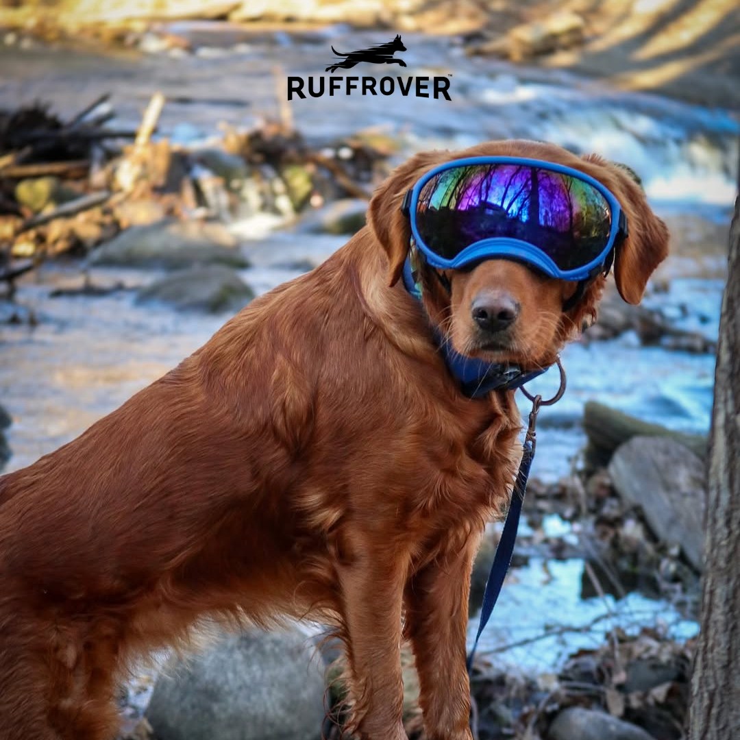 RuffRover - Style + protection = one happy pup 😎🐶 Grab yours here:🛒 ...