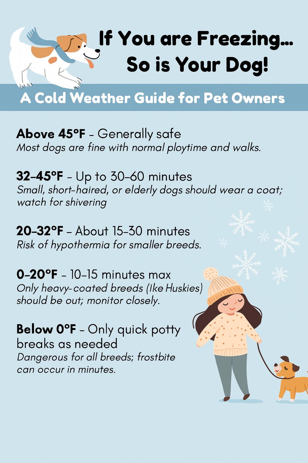 Curated visual reference: Gallery Detail: Keep Your Pup Warm This Homemade Dog Food Recipes