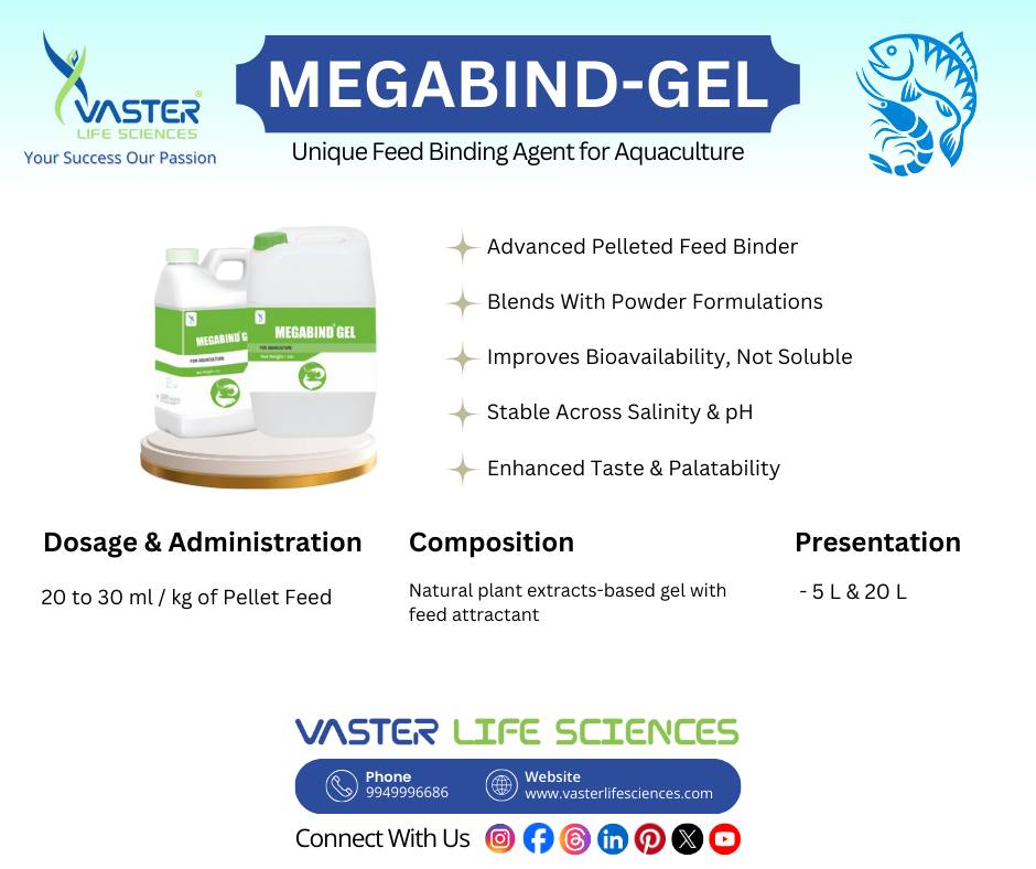 Vaster - MEGABIND – GEL : Unique Feed Binding Agent for Aquaculture ...