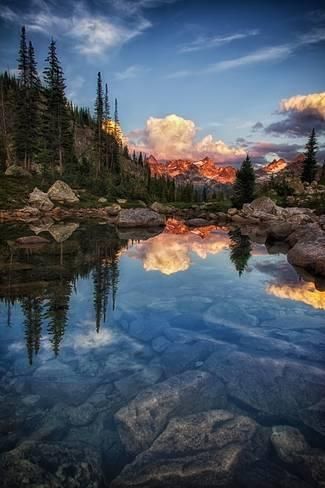 A Glimpse at Nature added a new photo. - A Glimpse at Nature