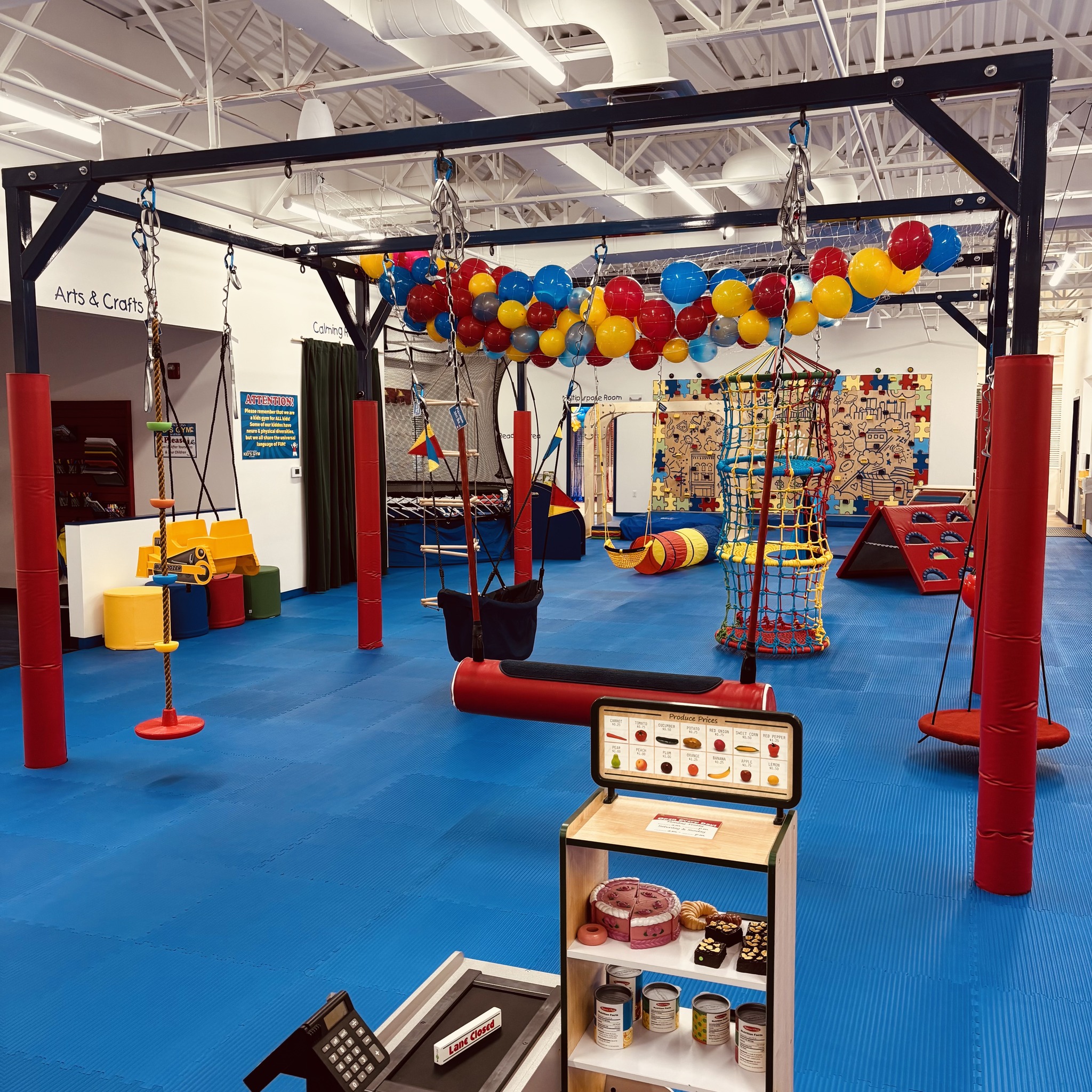 We Rock The Spectrum - Butler County | Cranberry Township, Butler County PA