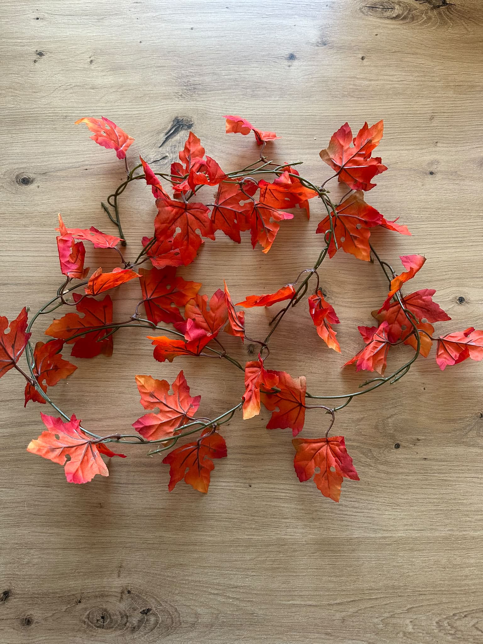 Guten Morgen zusammen, ich hab gestern die Herbst Girlande bei unserem Tedi gekauft jedoch war es die einzige. Hat jemand bei sich noch 3 weitere solche und könnte mir die besorgen?☺️ Würde