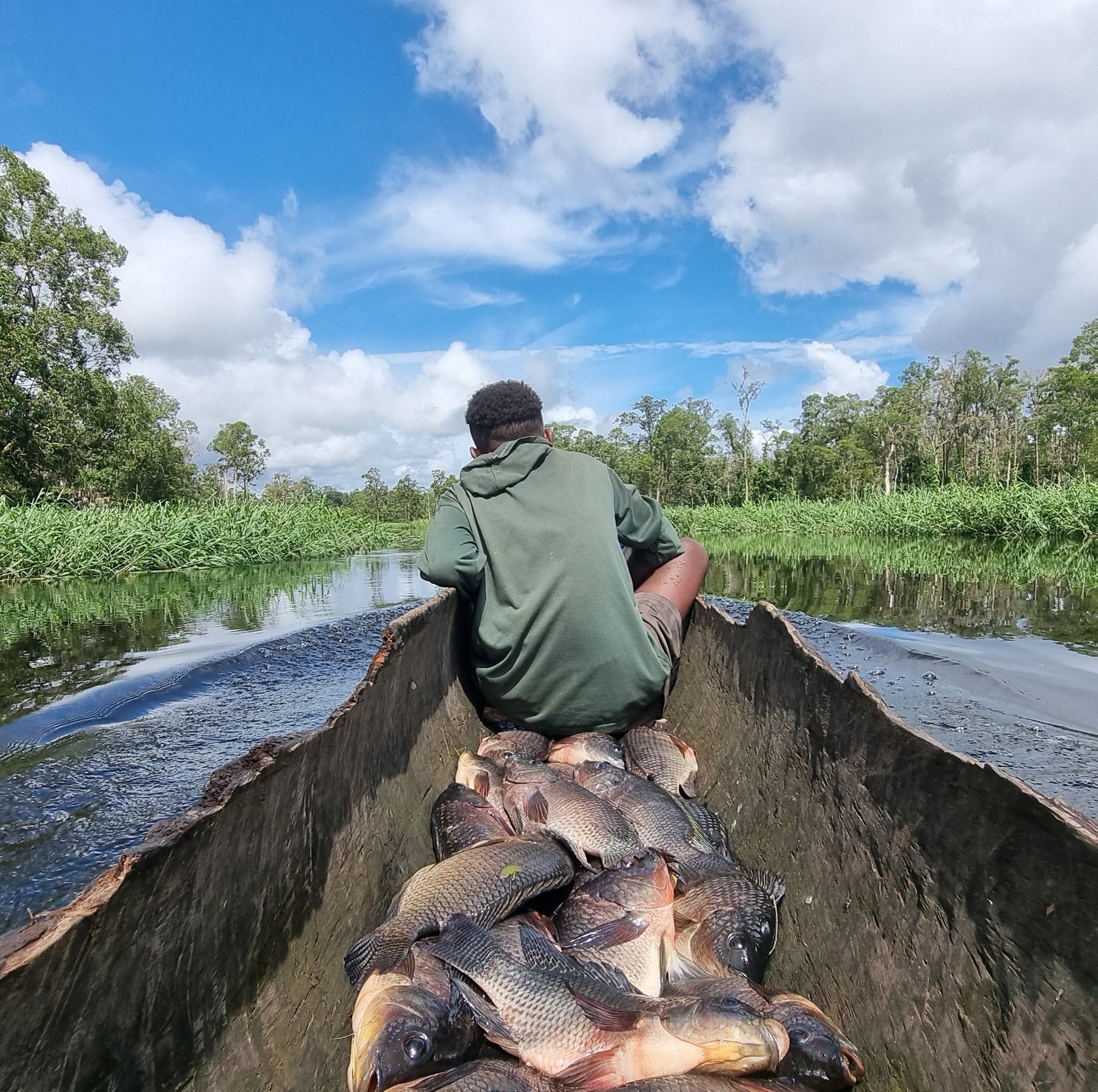Angger Papua