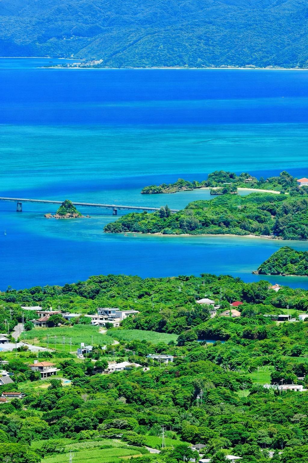 Beauty of Okinawa 🌿🌿 #Japan #okinawa #sea #travel #fblifestyle