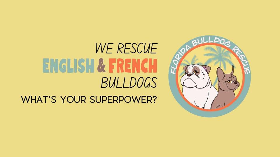 Florida Bulldog Rescue