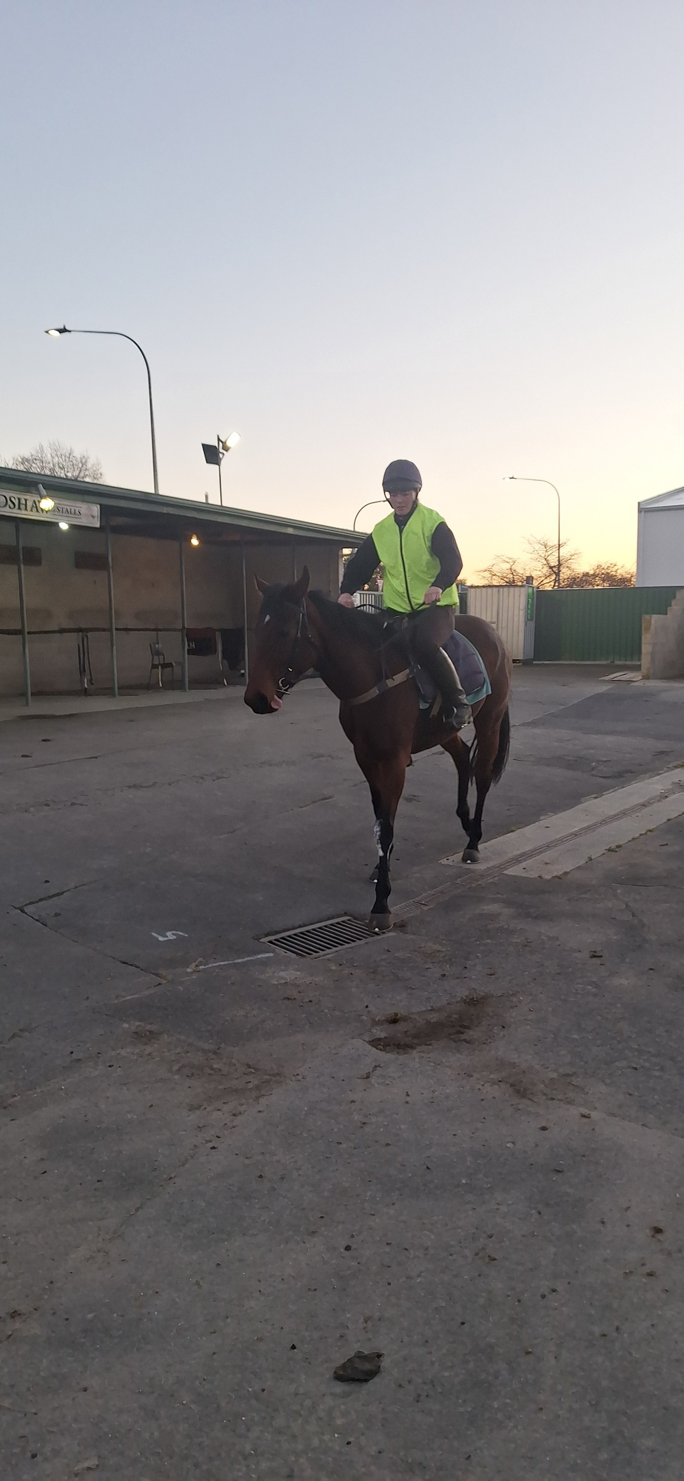 Bidlake Racing | Hastings