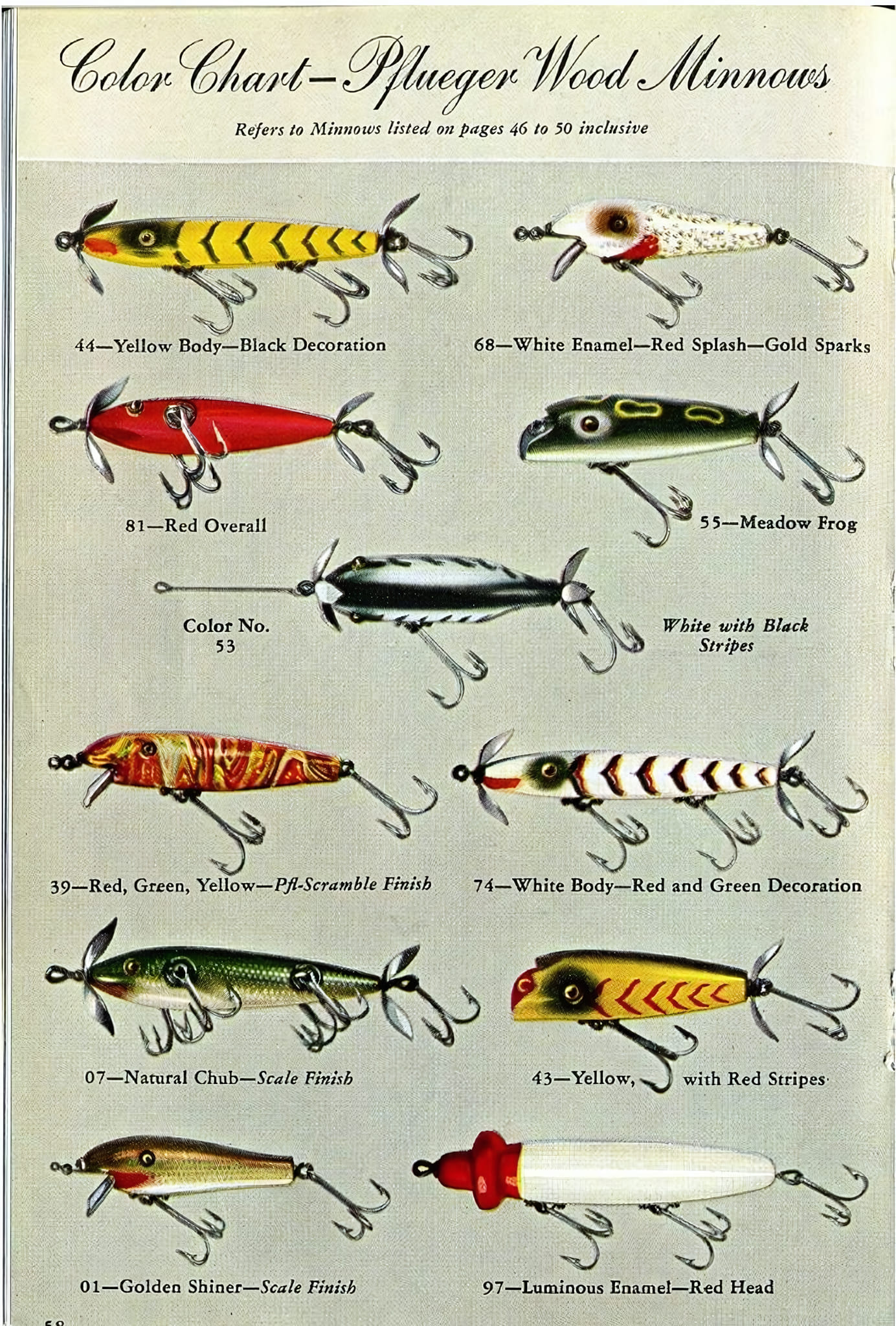 Bait - ️🎣 | Facebook
