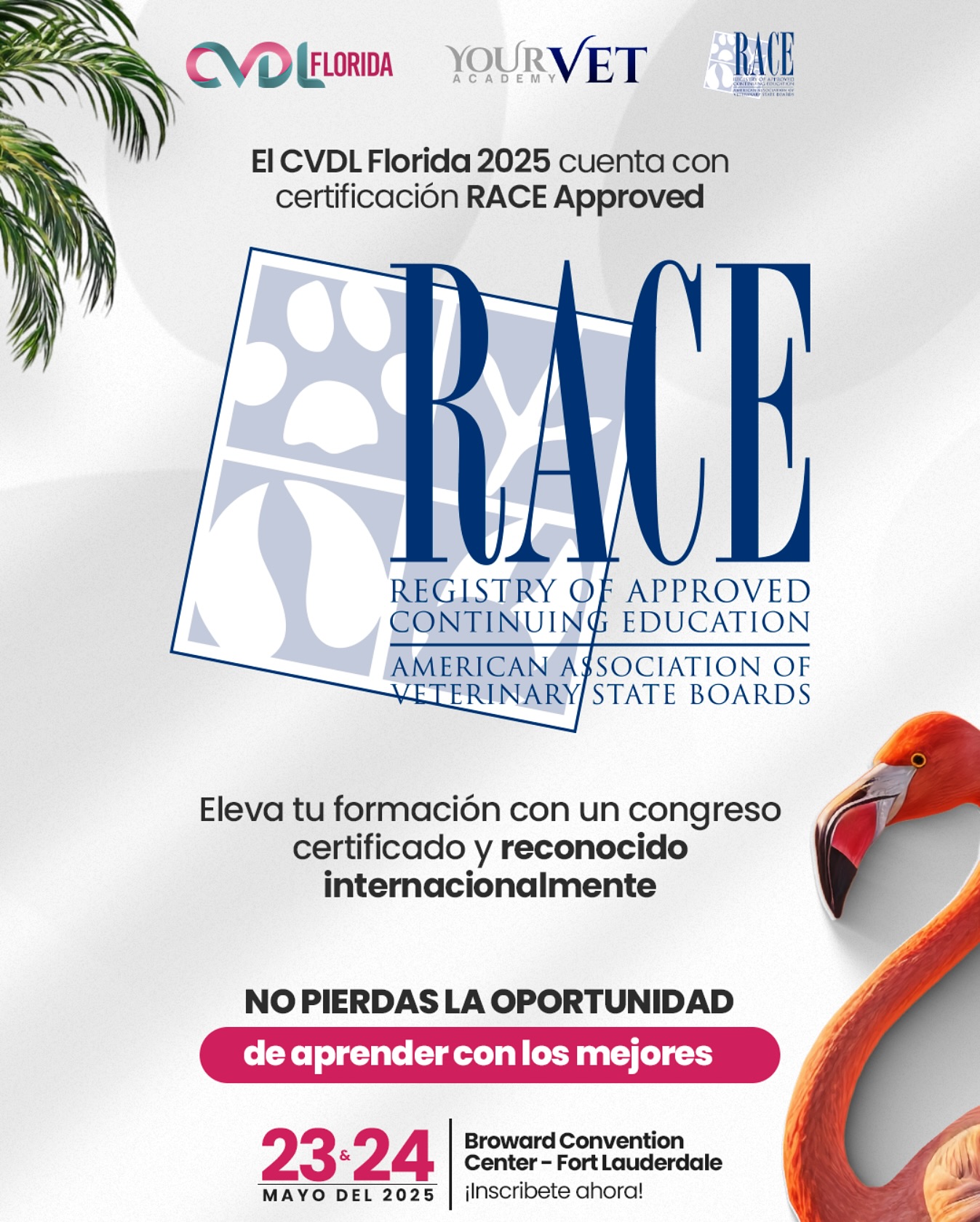 CVDL Florida | Fort Lauderdale FL