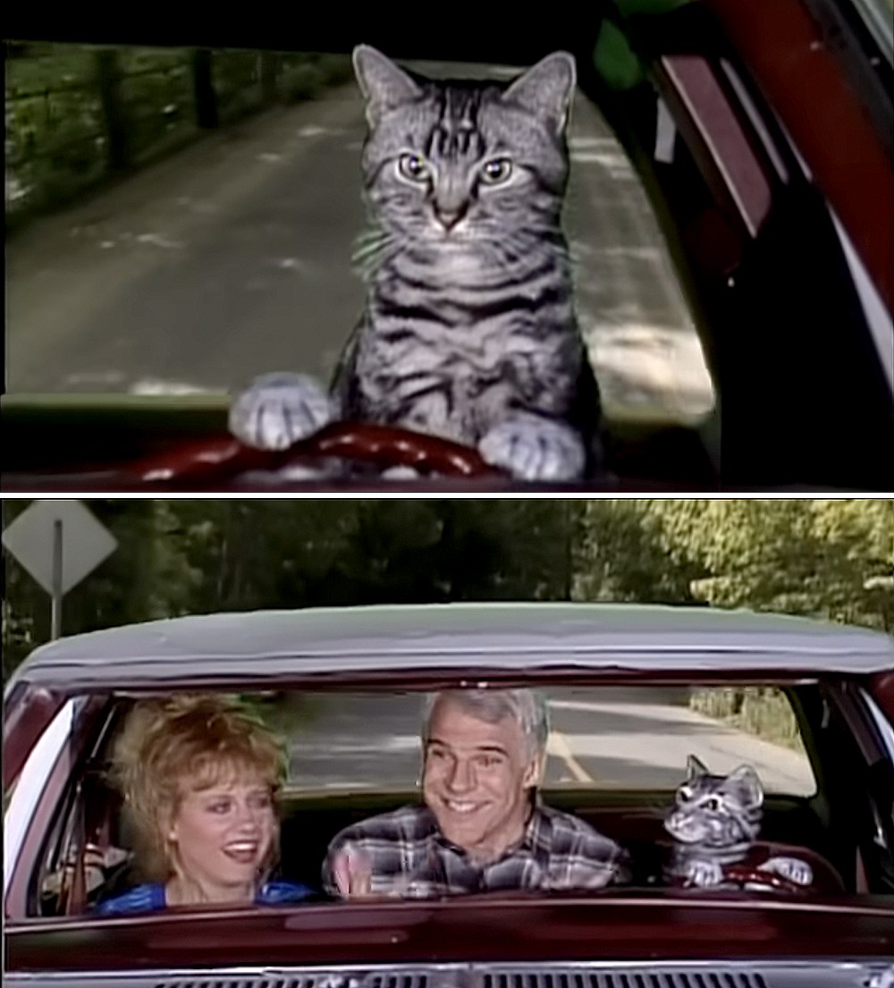 Massive 80s Fan - Hey, it's Toonces, the Cat Who Could... | Facebook