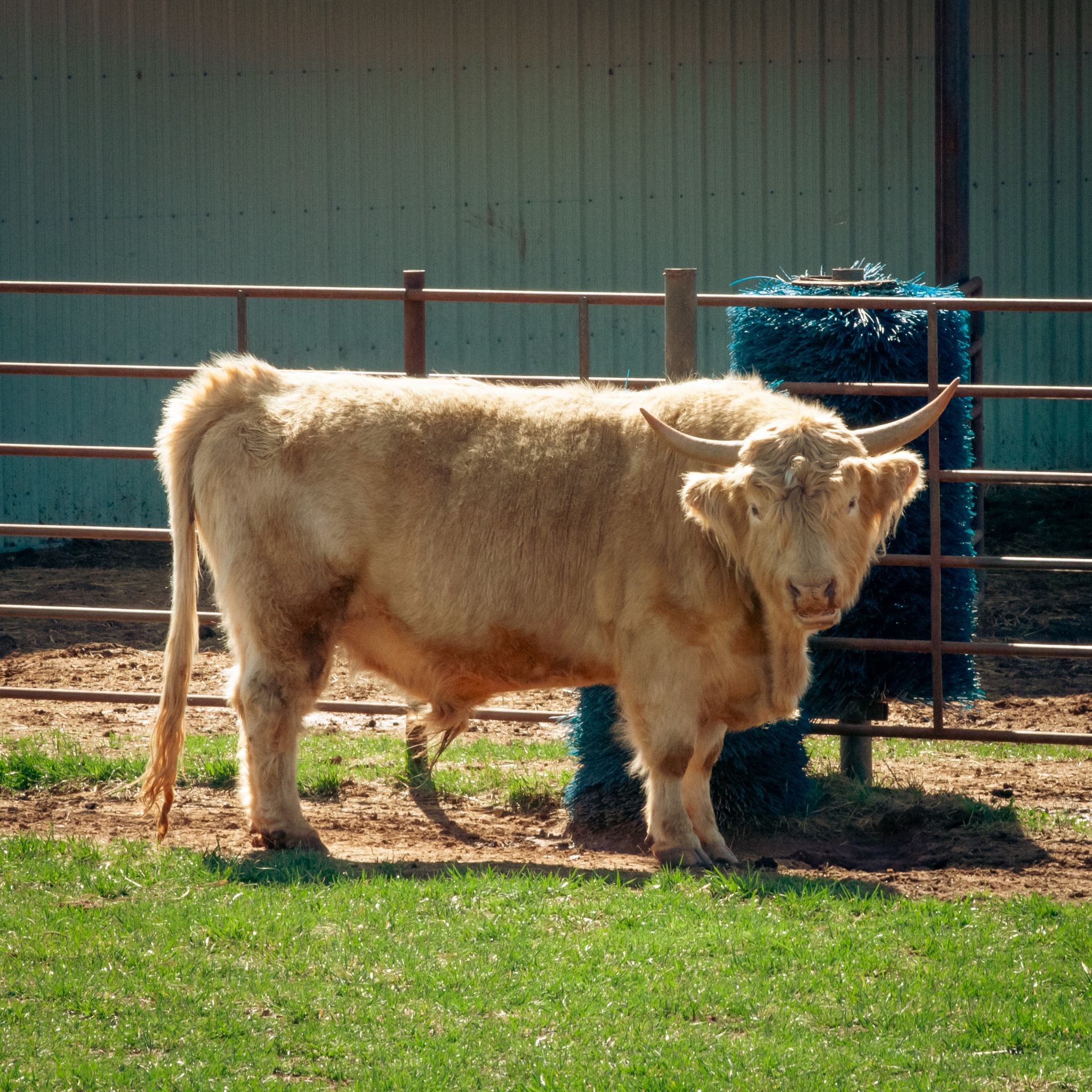 Bucket List Ranch | Stockton MO
