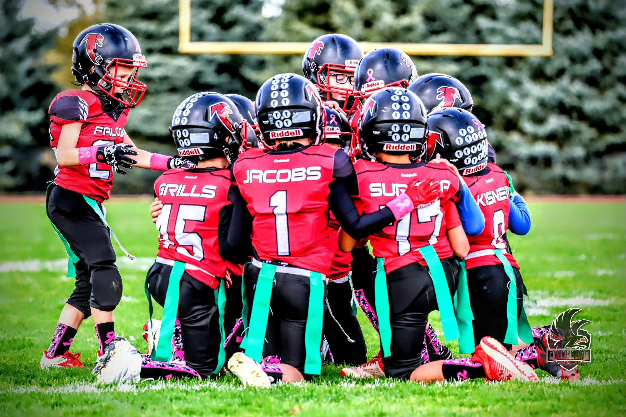 firelands falcons football helmet Riddell Air Force Ghostrider Revolution Speed Mini : Sports & Outdoors On your bottles Firelands Falcons @ Oberlin Phoenix