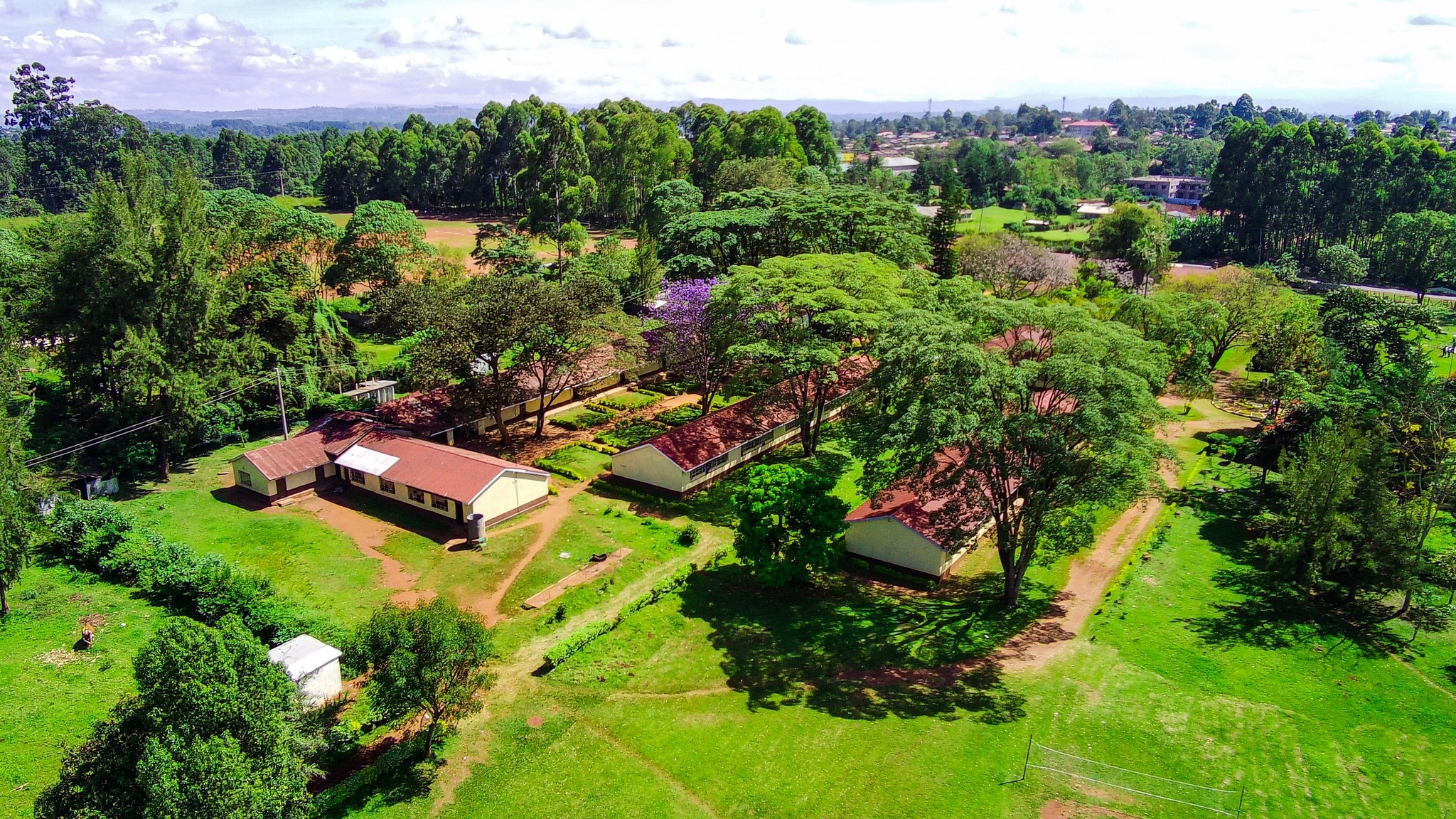 Weaver Bird School - kitale
