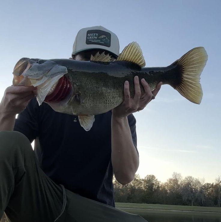This Hidden Creek Was Loaded With Aggressive Fish! #fishing #fisherman ...