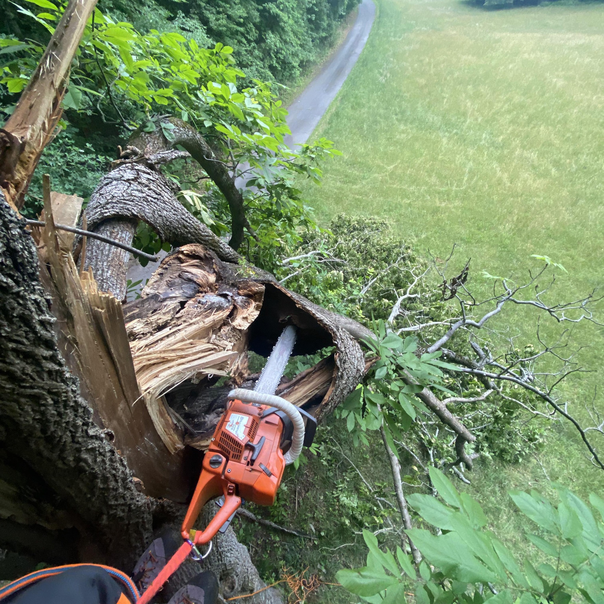Tree Climbers Facebook Page | Some yall bend over (like a whore) to put ...