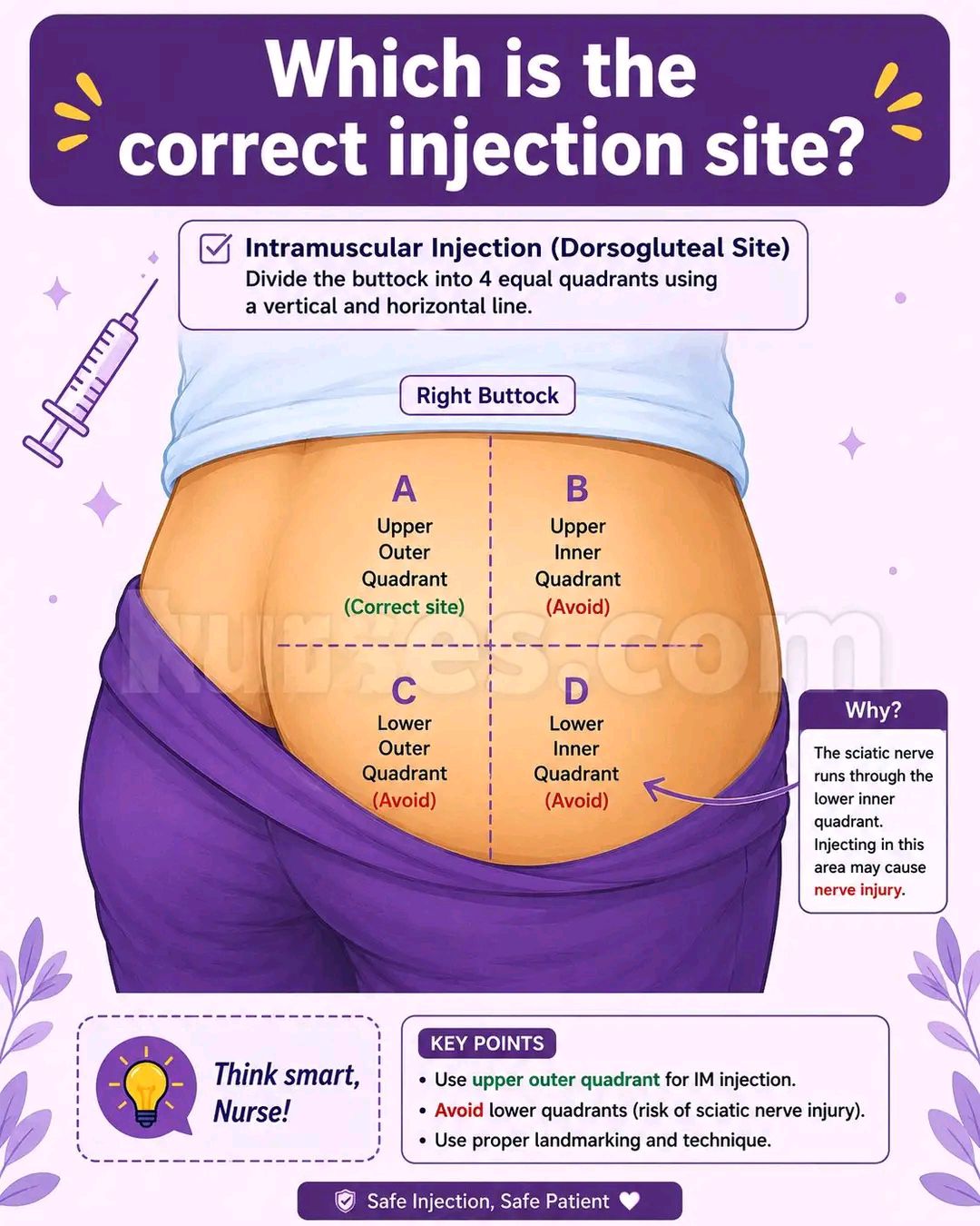 b12 injection site buttocks Safe intramuscular in buttock Size:1000 mcg/ml - 30 ml (Pack of 4) How to Reconstitute 30 hair-serum