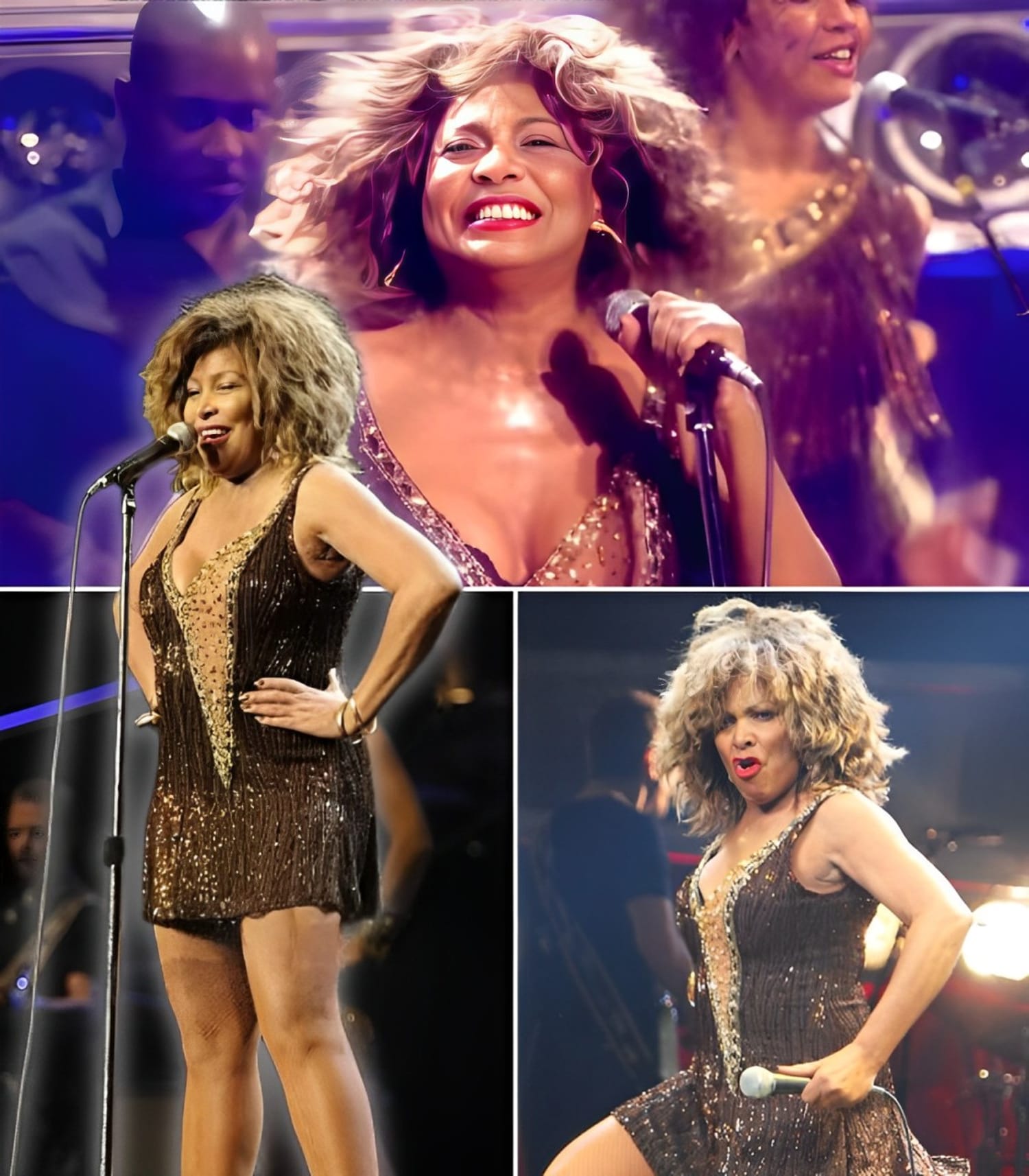 tina turner proud mary gold dress performing on the Ed Sullivan Show in 1970 and live in Amsterdam on the Wildest Dreams tour in 1996. #TinaTurner preserved and dried
