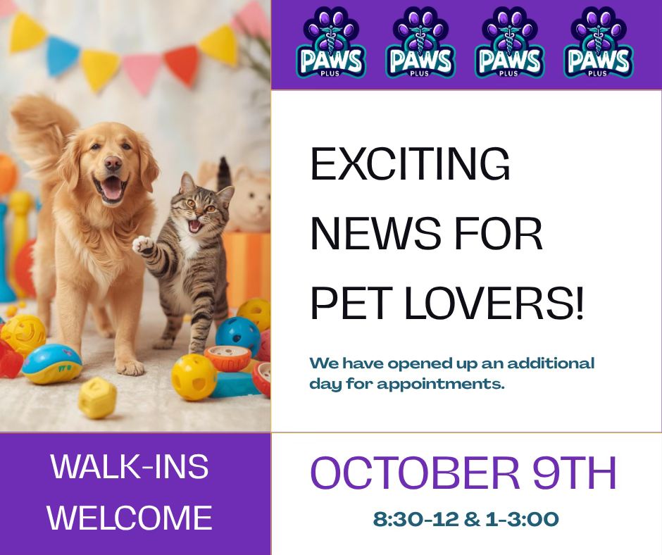 Paws Plus Veterinary