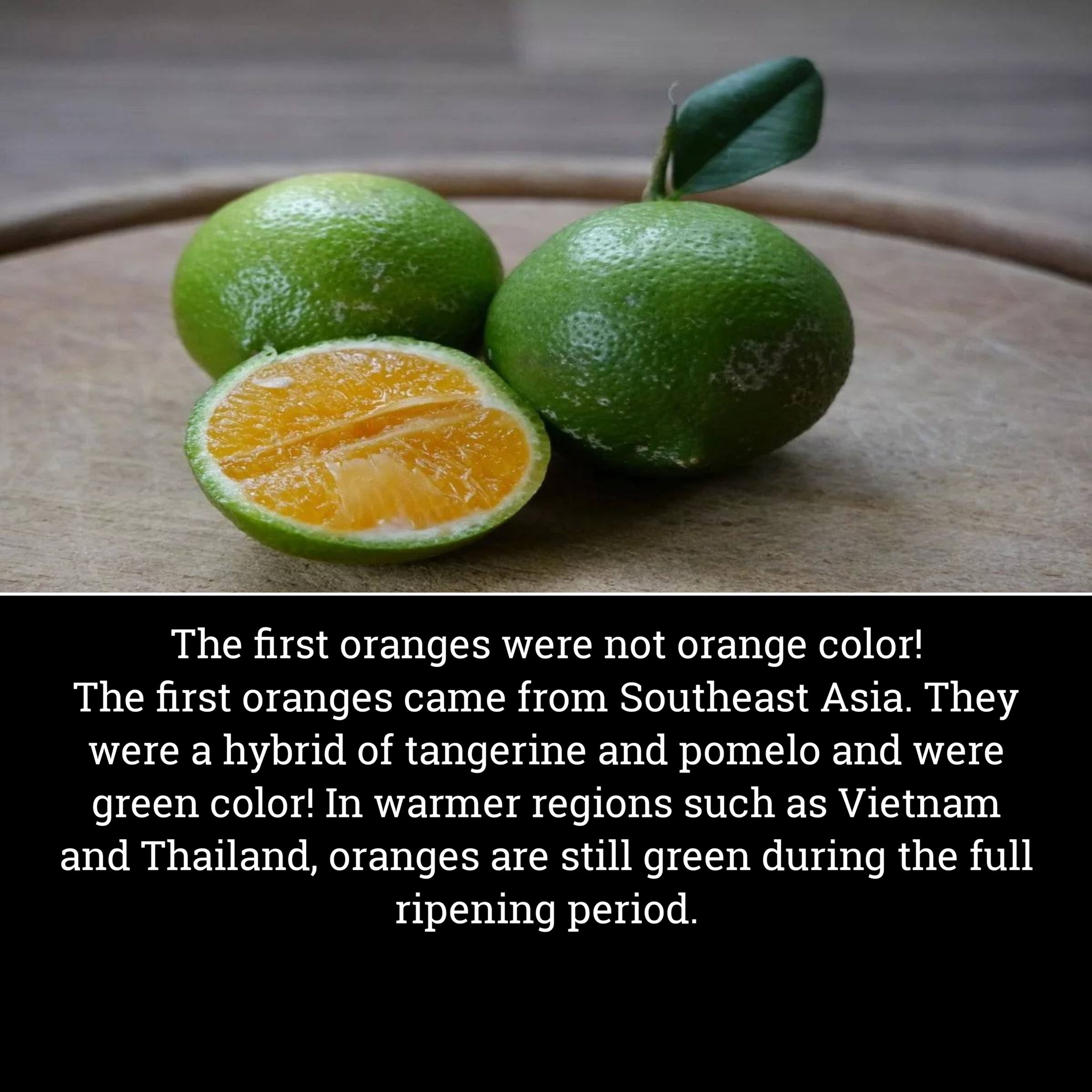 Factsx - The First Oranges Weren’t Orange #FruitFacts #OrangeMyth # ...