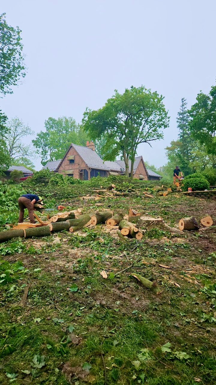Greenville Tree Service | Greenville OH