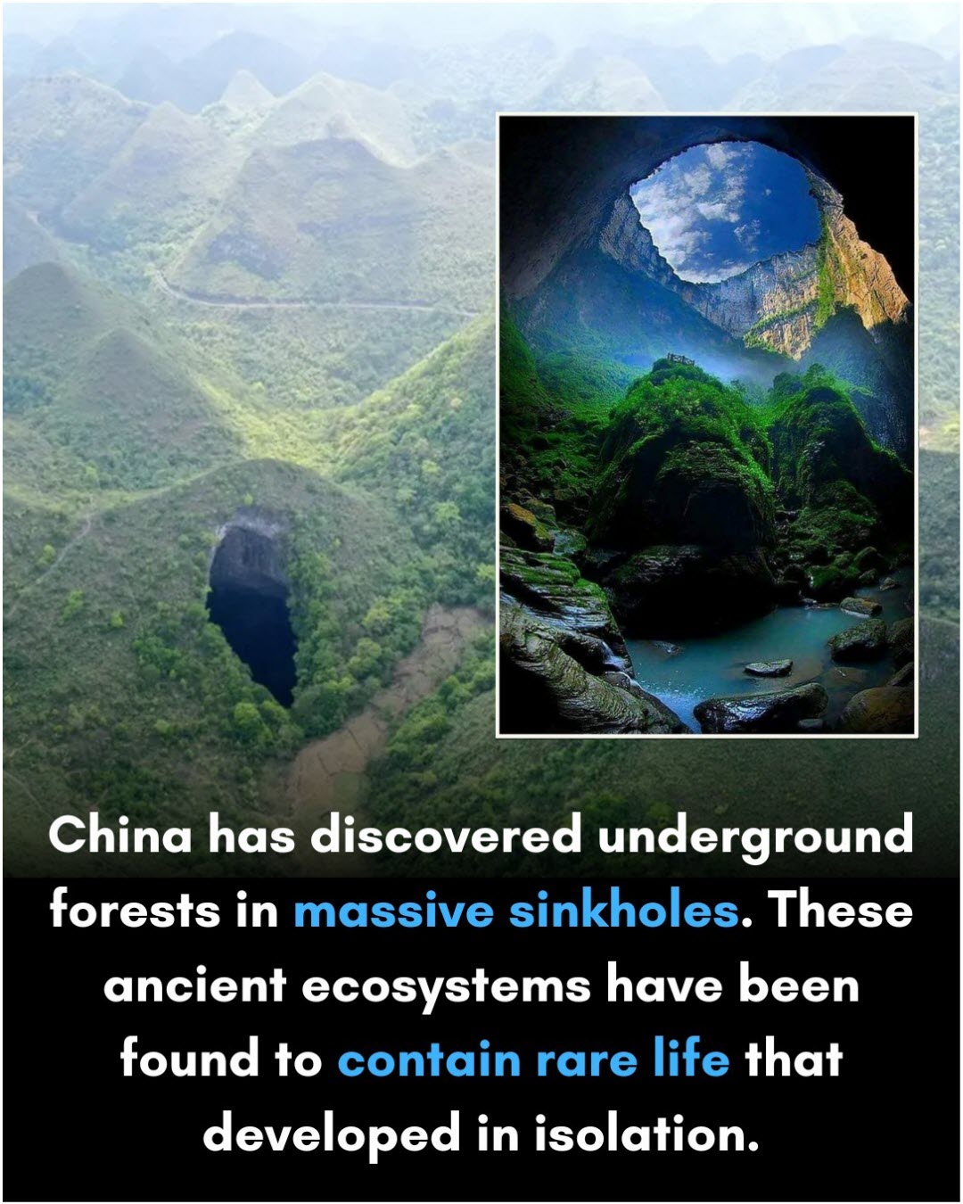 A 630 foot giant sinkhole has an ancient world with a forest in it