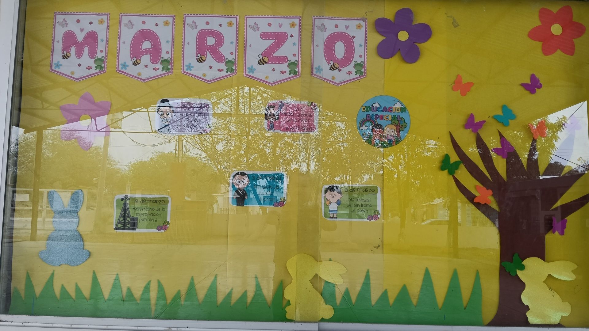 Esc. Primaria Juan B Tijerina