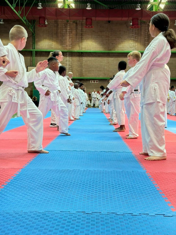 Kimura Shukokai International- South Africa North Karate